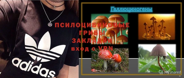 стаф Лихославль